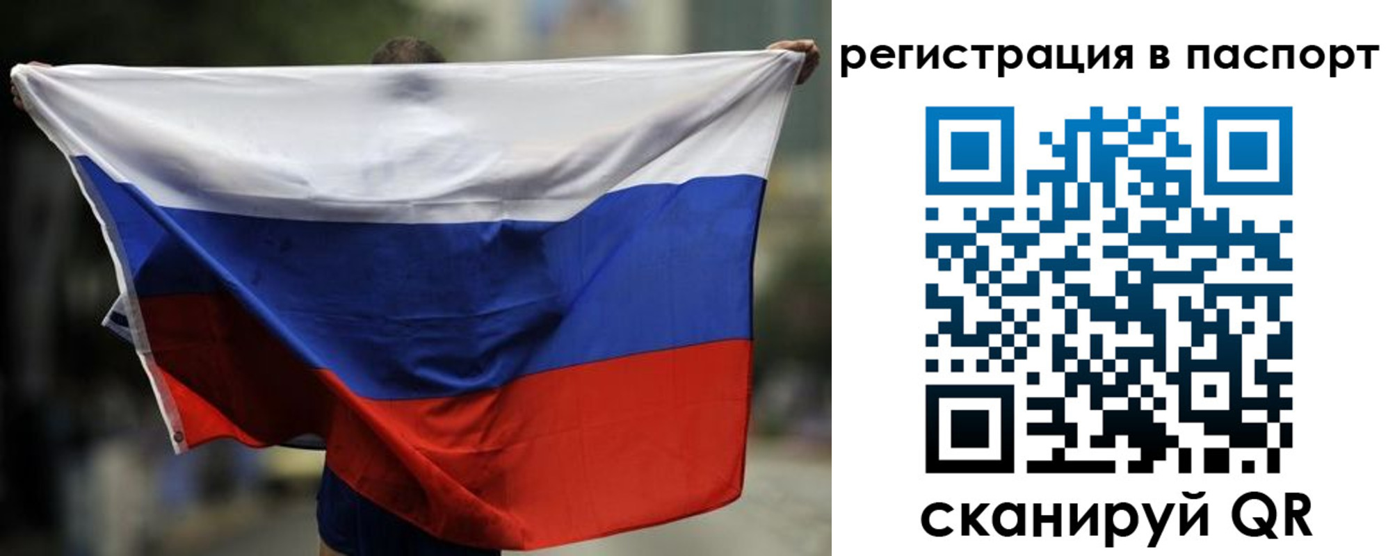 прописка 2025 в Елизово